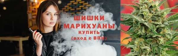 стаф Белокуриха