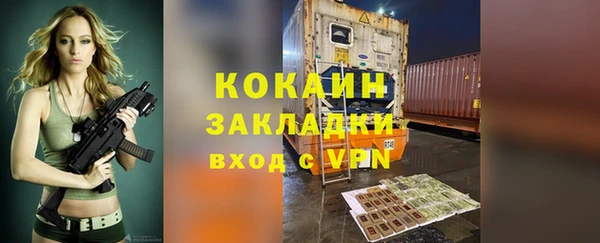 стаф Белокуриха