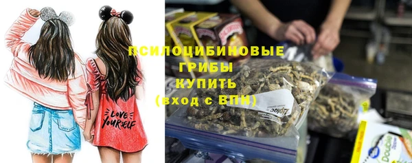 стаф Белокуриха