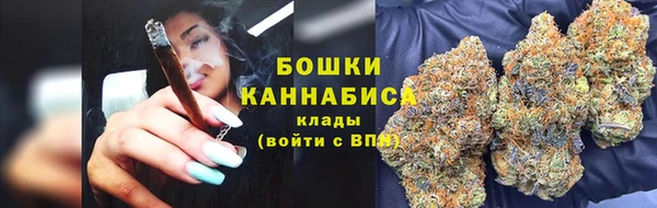 стаф Белокуриха